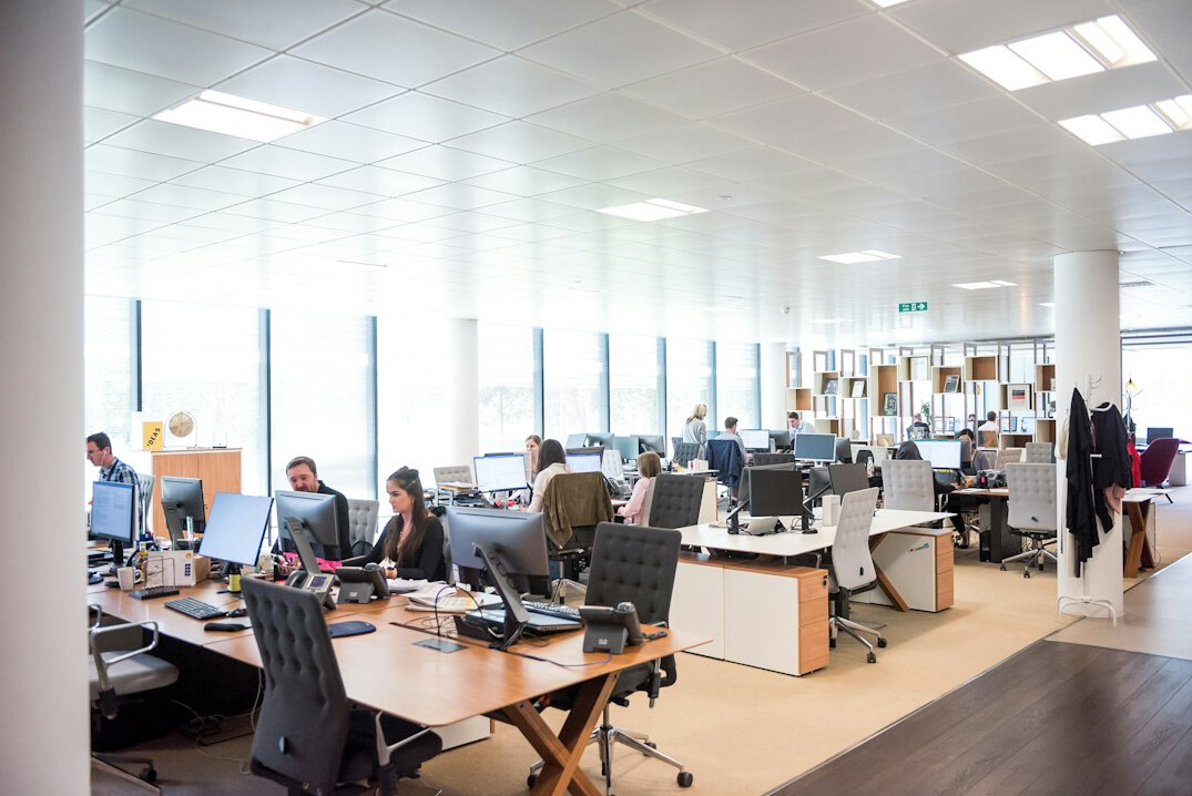 diverse professionals in office