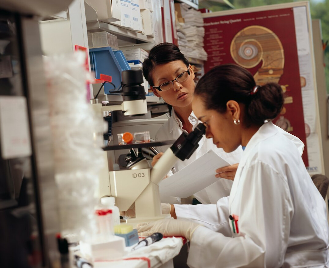 scientists in laboratory